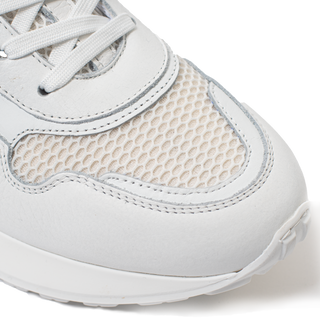 Road Runner Blanco White